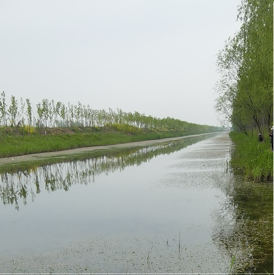 丰县欢口镇欢北大沟水生态修复工程