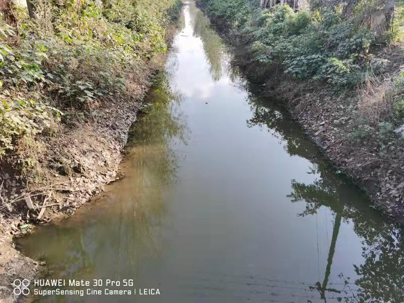 丰县欢口镇赵河涯大沟水生态修复工程