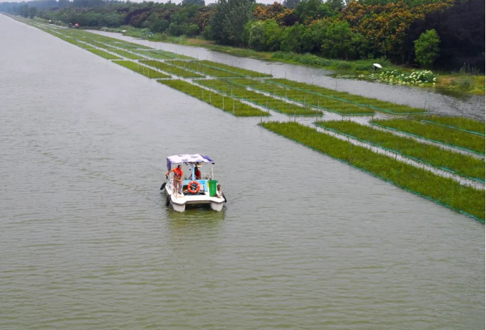 徐州市委书记宋乐伟：树牢底线思维 强化责任担当 全力以赴守护河湖安澜群众安全