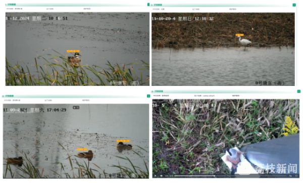 江苏首部生物多样性保护条例出炉！将于今年“国际生物多样性日”施行