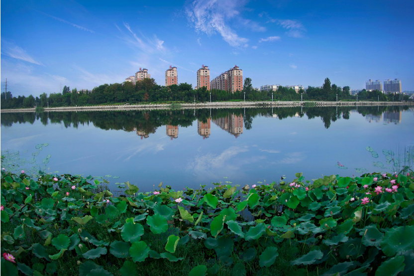 黄河故道边，荒滩变成了生态乐园